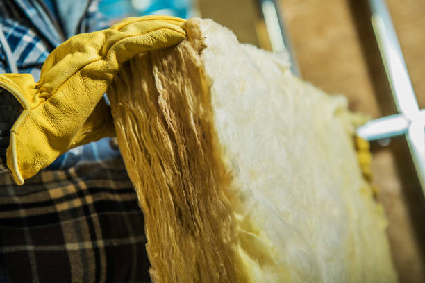 Best Best Insulation Companies  in Gosnell, AR