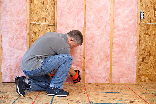 Insulation Replacement Services in Gosnell, AR