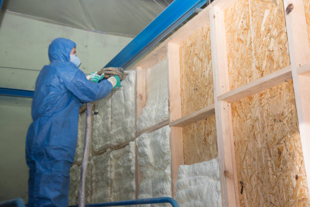 Best Local Insulation Services  in Gosnell, AR