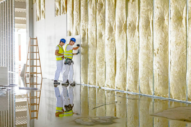Best Affordable Insulation Services  in Gosnell, AR